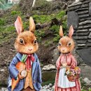 백설세탁소2 이미지