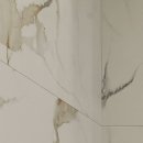 셀이즈의원 이미지