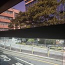유노성형외과 | 프리티성형외과 유노성형외과 눈 상담 후기.