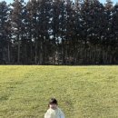 서아목장 이미지