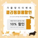 가을애견미용실 이미지