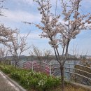 낙동강변로-4 네이버블로그
