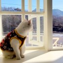 스테이 만천 이미지