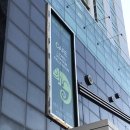 부산 이색 파충류 카페) '어반 네이처' (urban nature) 방문기