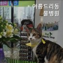 아름드리동물병원 이미지