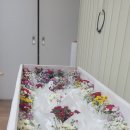 삼일의전