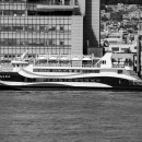 (주)부산남항유람선 자갈치크루즈 이미지