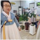 정나진한복
