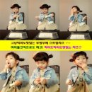 모리쉬 이미지