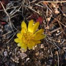 원일초등학교 이미지