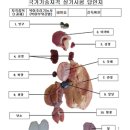 대일산업인력 이미지