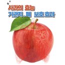 한내과건강검진센타 네이버블로그