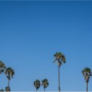 으뜸50안경광명사거리역점 이미지