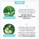 (주)맥시즘 이미지