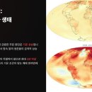 셀러브의원 | 러브버그 가고 더 센 놈 왔다! 수도권 습격한 '갈색여치' 정체, 사람도 문다는데 사실일까? (대처법...