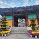 백제문화단지-부소산성-궁남지-정림사지-백제문화단지 | 백제문화단지, 국립부여박물관, 정림사지, 부소산성&amp;낙화암, 부여왕릉원&amp;나성, 궁남지 / 문화유산...