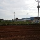 여천농장 이미지