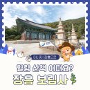 초암약수터 | 장흥 보림사🌿 날씨 풀린 요즘, 힐링 산책 어때요?