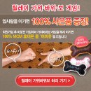 퍼피츄 이미지