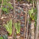 원순농장 이미지