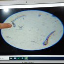 올가뷰티 이미지