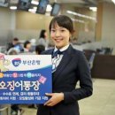 부산오징어 이미지