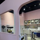 댕카 미용실 이미지