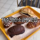 도남황금 | 제주 제주도 명란소금빵 노형동 빵집 카페 코너웍보틀리에 제주시 빵지순례