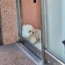 유창어린이집 | 아차산 이색 음식 도전! 몽골식당 호쇼르+볶음밥 후기