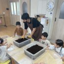 용문초병설유치원 | 양평 용문초등학교 병설유치원 장수풍뎅이 사육키트 만들기 체험 (방문체험학습) 후기