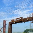 박금자 | 군산 찻집 카페 추천 중세 유럽 수집품 주차장 야외테라스 : 박금자갤러리