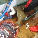 고흥녹동회타운 이미지