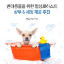 협성동물병원 이미지