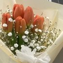 도심속작은자연flos