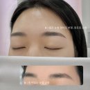 아리아름다운리터치 | 브로우리프트펌 유지기간|주기 눈썹정리 눈썹왁식 연예인눈썹 [마산솔뷰티]
