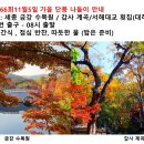 제160차 2003년 11월 5일 산행 안내 이미지