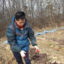 우리농장1 이미지