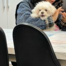 씨유디스펙양주 | 1-2月