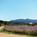 고창고인돌박물관 이미지