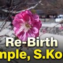 까사까미노 이미지