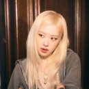 제제헤어 이미지