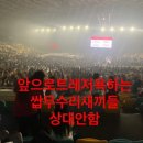 놀아줄개 | 실수로 너무 많이 놀아버렸어요..