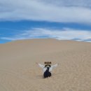 넘버원약국 | 기록.3] - 포트스테판 투어, 넬슨베이, 미트파이, 샌드보딩, 오크베일 동물원, 넘버원마라탕, 달링하버