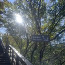 하늘에서 땅끝까지 | [2025년/국토대장정] 혼자 땅끝마을까지 11일차(해남~땅끝마을)