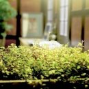 방한의원 이미지