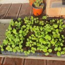 (주)자연농 이미지