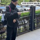 르메 | 후기🤍🤍🤍 르메 얼굴소멸 코트 2장🖤