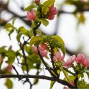 희망5리 경로당 이미지