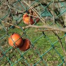 자풍농장 이미지