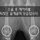 아띠 동물의료센터 이미지